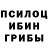 Галлюциногенные грибы Magic Shrooms Statist Gans