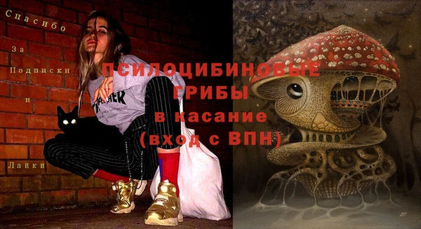 гидра Армянск