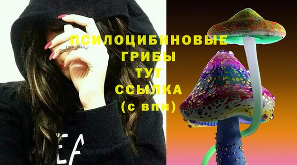 гидра Армянск