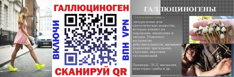 Псилоцибиновые грибы Cubensis Ржев